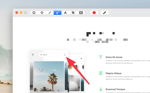 cleanshot для Macos