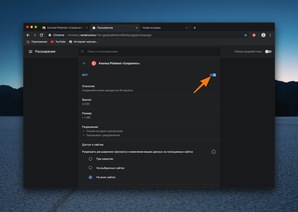 Окно с настройками отдельного расширения в Google Chrome