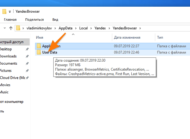 Папка YandexBrowser в Windows 10