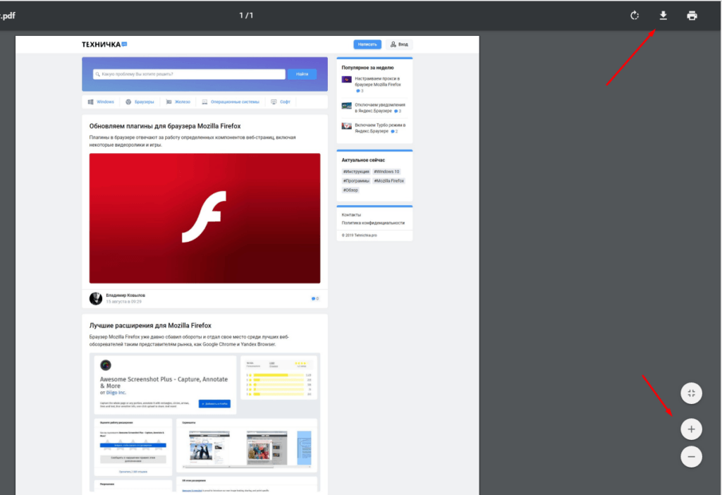 Внешний вид плагина Chrome PDF Viewer