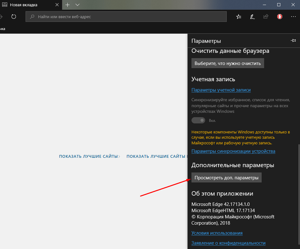 Переход к дополнительным параметрам браузера Edge