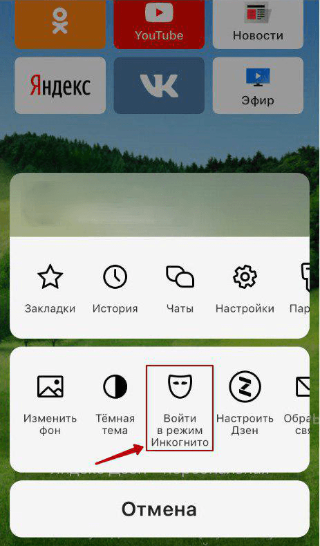 Иконка режима Инкогнито в яндекс браузере на iOS