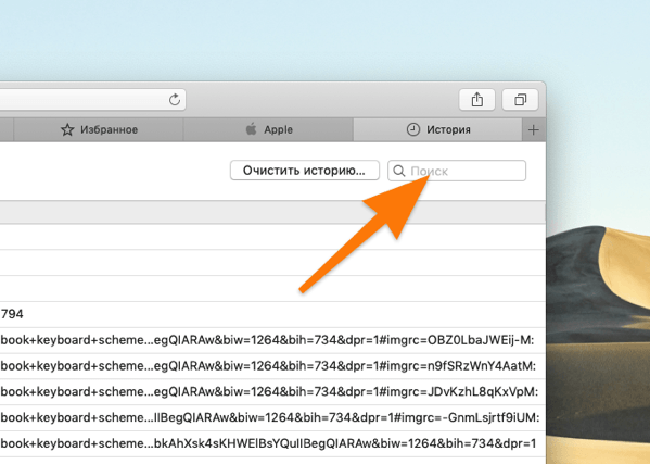 Окно с историей браузера Safari