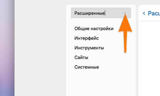 Результаты поиска в настройках Яндекс.Браузера