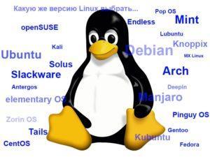 Выбираем дистрибутив Linux