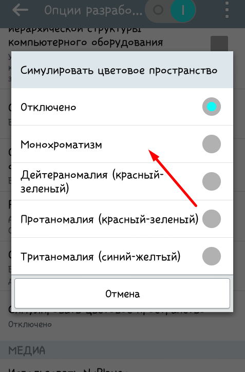 Протаномалия и монохроматизм