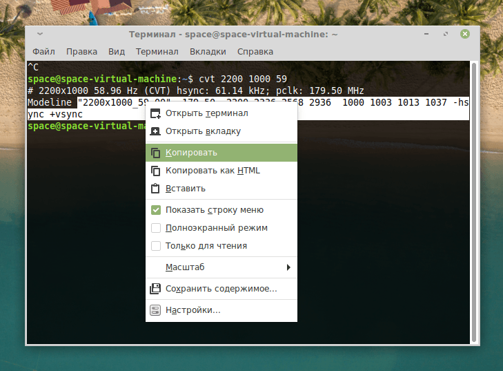 Контекстное меню в терминале Linux Mint