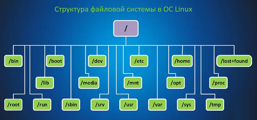 Структура файловой системы Linux