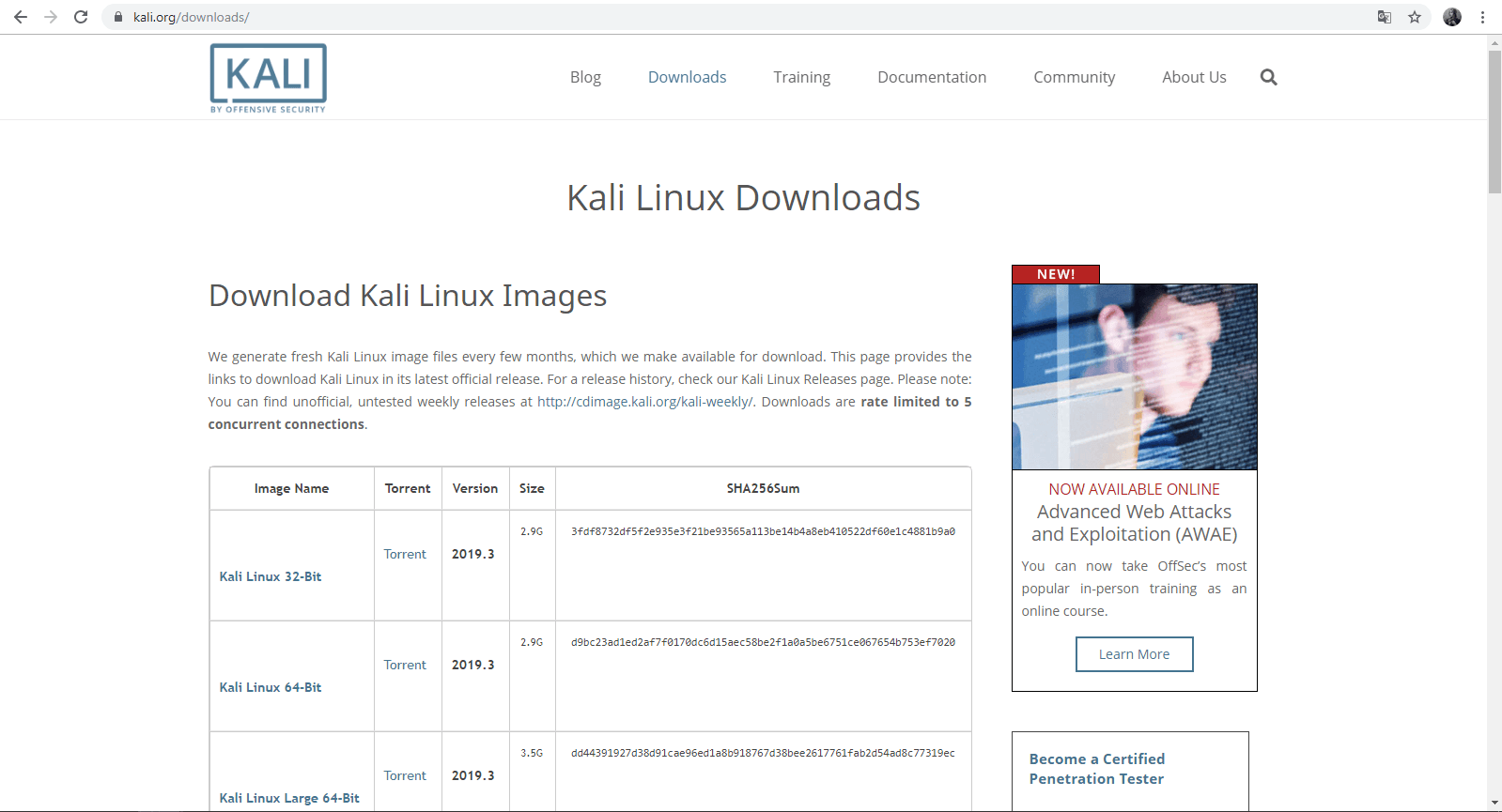 Способы скачивания установщика ОС Kali Linux