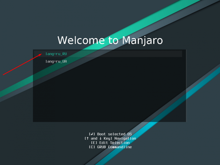 Как установить стим на линукс manjaro