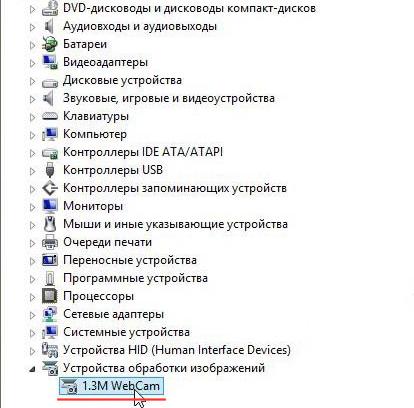 Диспетчер устройств - Устройства обработки изображений - Веб камера