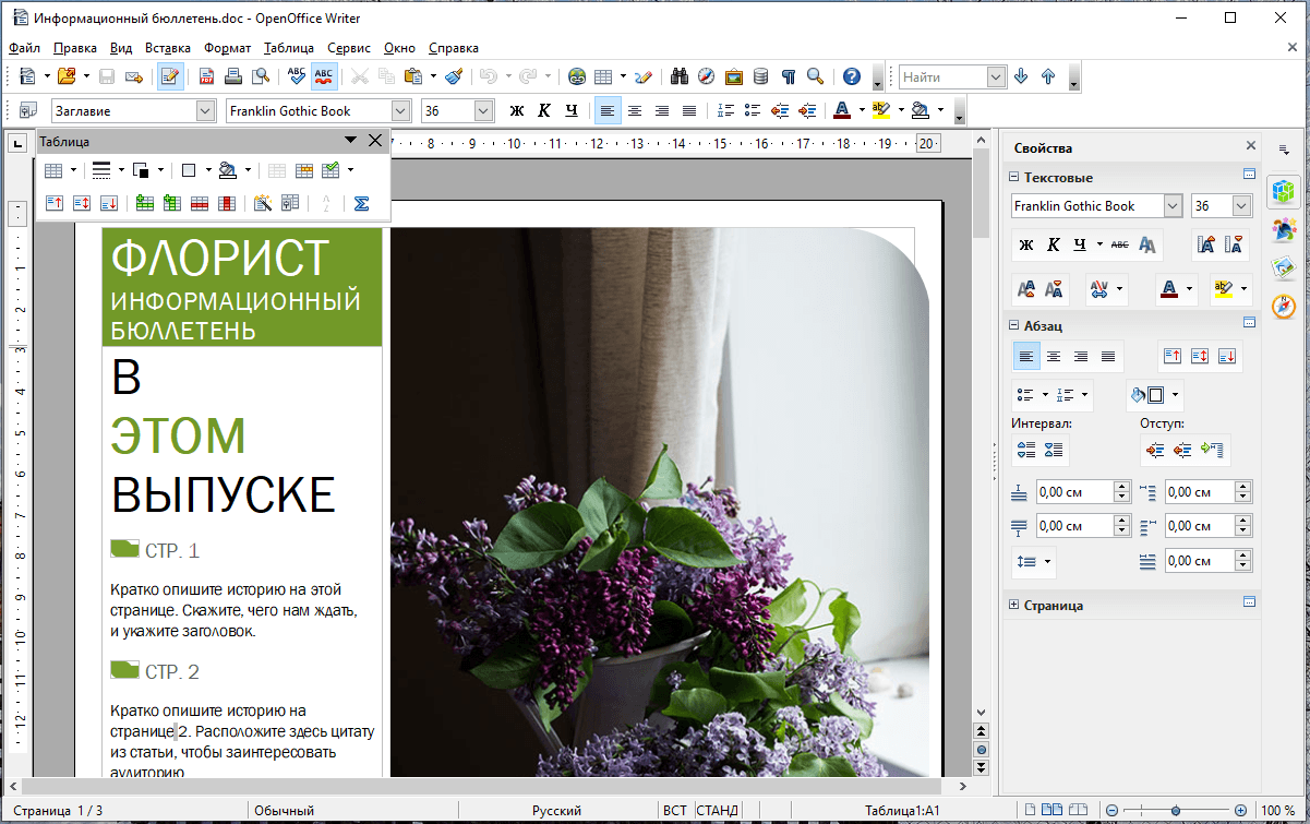 Окно текстового редактора «OpenOffice Writer»