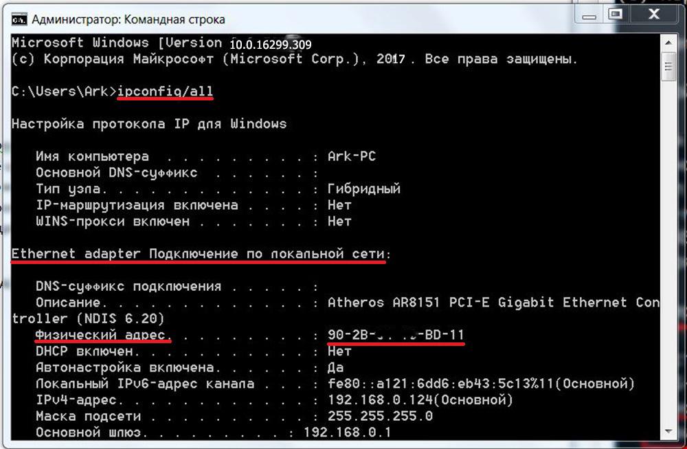 Ввод команды ipconfig