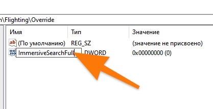 CleanShot 2020-02-15 at 05.09.51.jpg Ключ с названием ImmersiveSearchFull