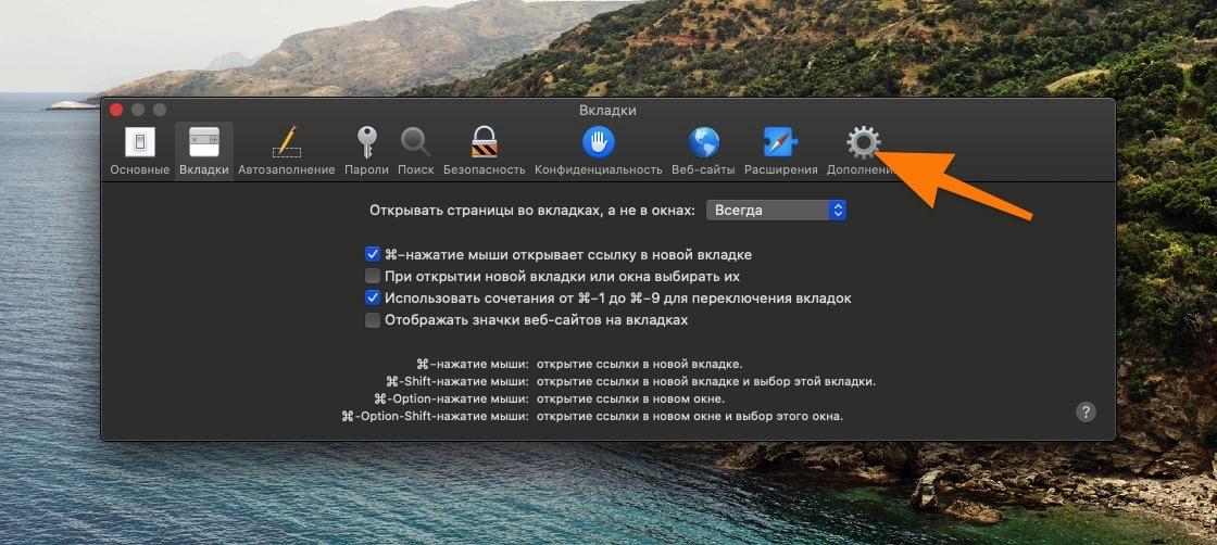Safari 2020-02-15 at 06.26.43.jpg Общие настройки Safari