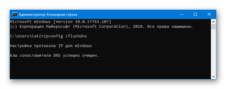 Командная строка ipconfig flushdns