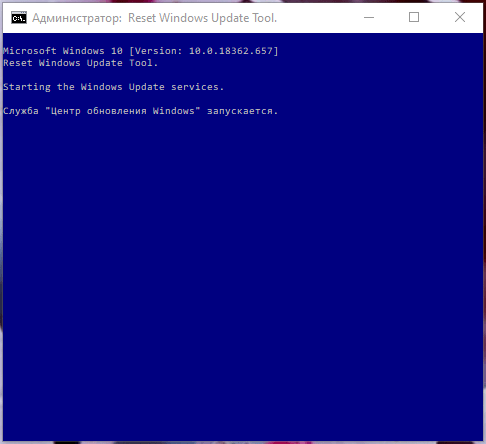 Окно «Администратор: Reset Windows Update Tool» в Windows 10