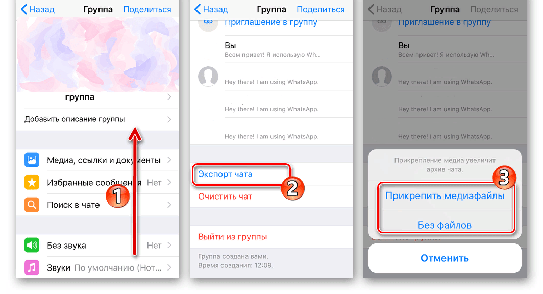 Whatsapp резервное копирование фото