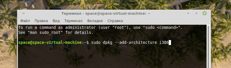 вводим команду: sudo dpkg —add-architecture